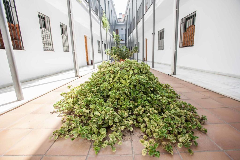 La Casa De Artista, Zona Museo